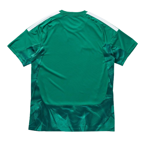 Maillot Allemagne Gardien 2026/2027
